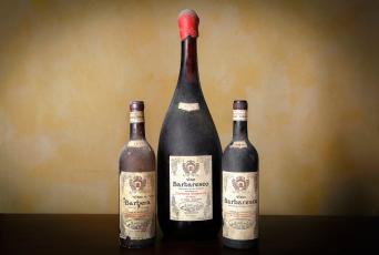 Capsule Vigneron : Giuseppe Cortese