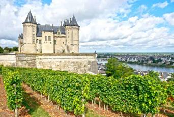 Capsule : Les Vins de la Loire