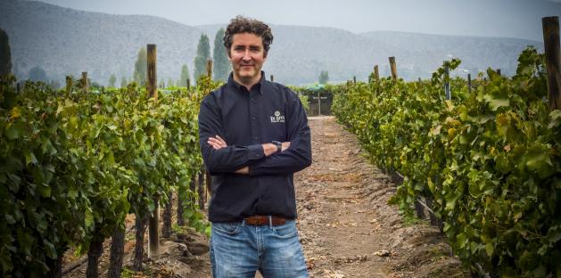 Vina San Esteban (In Situ)