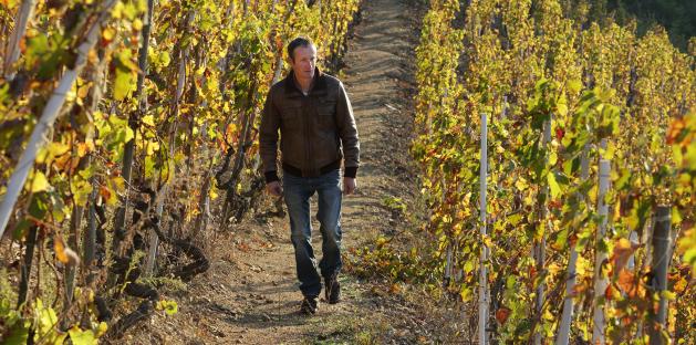 Domaine Vincent Paris